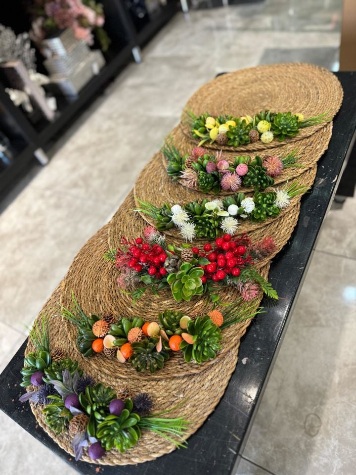 Sukulentli Supla Set  6'lı