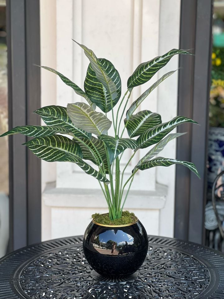 Yapay Bitkili Dekoratif Cam Vazo Siyah