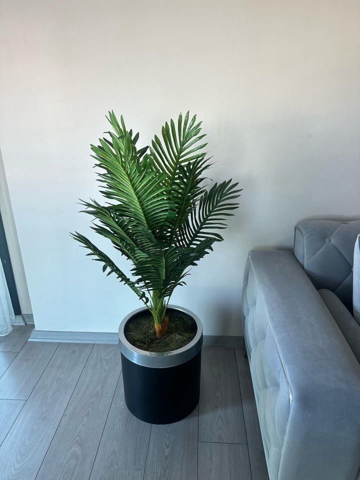 Yapay Arekalı Saksı No:2