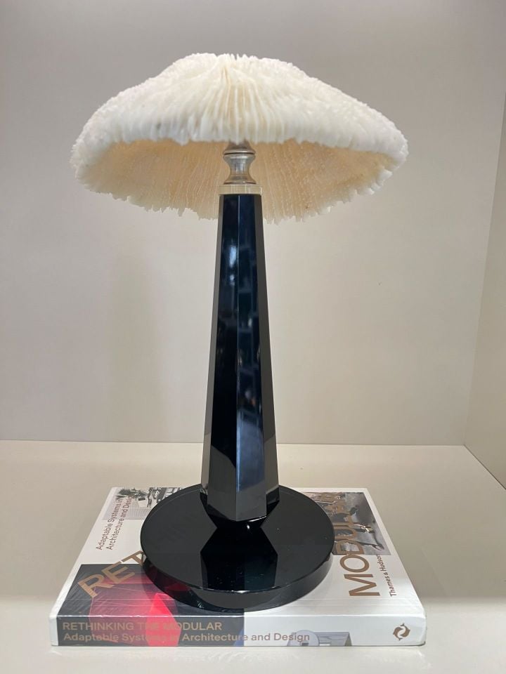 Kristal Kaideli Doğal Mercan Dekor Siyah