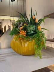 Yapay Sukulentli İstiridye Vazo No:6