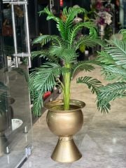 Yapay Arekalı Gold Saksı