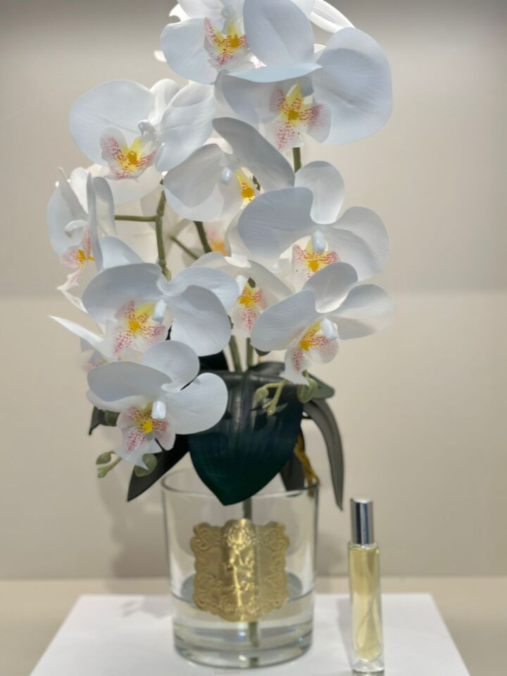 İki Dal Yapay Orkideli Cam Vazo(Gold Plaka)